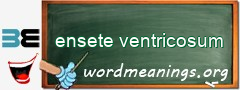 WordMeaning blackboard for ensete ventricosum